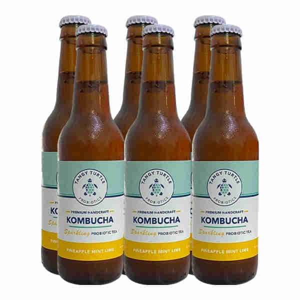 Kombucha Pineapple Mint Lime X6