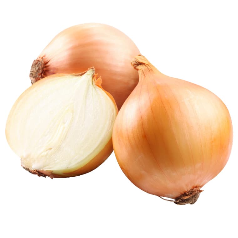 Onion