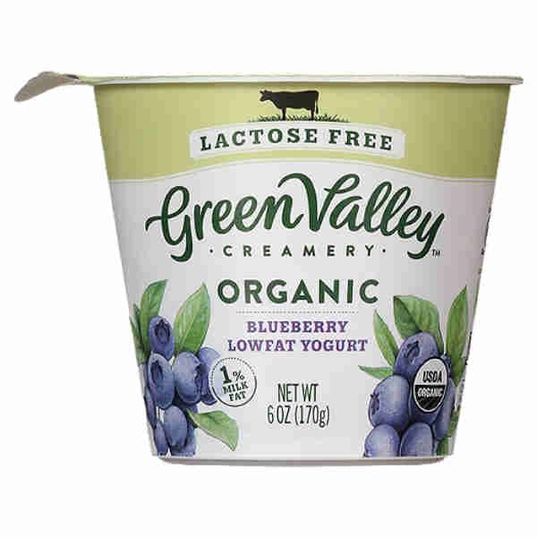 Lactose Free Organic Blueberry Lowfat Yogurt - Green Valley