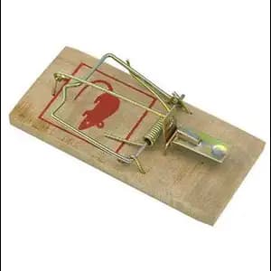 Mouse Trap x2