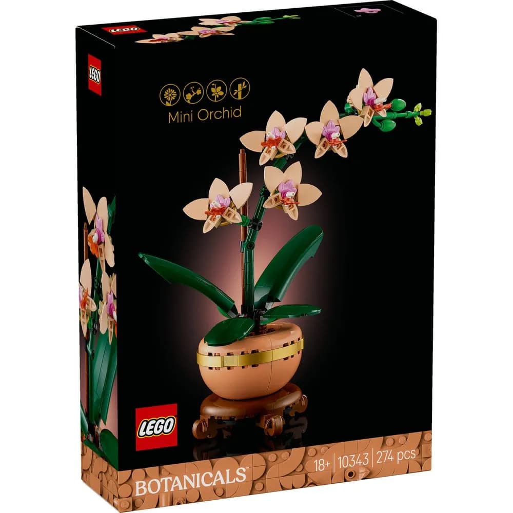 Mini Orchid