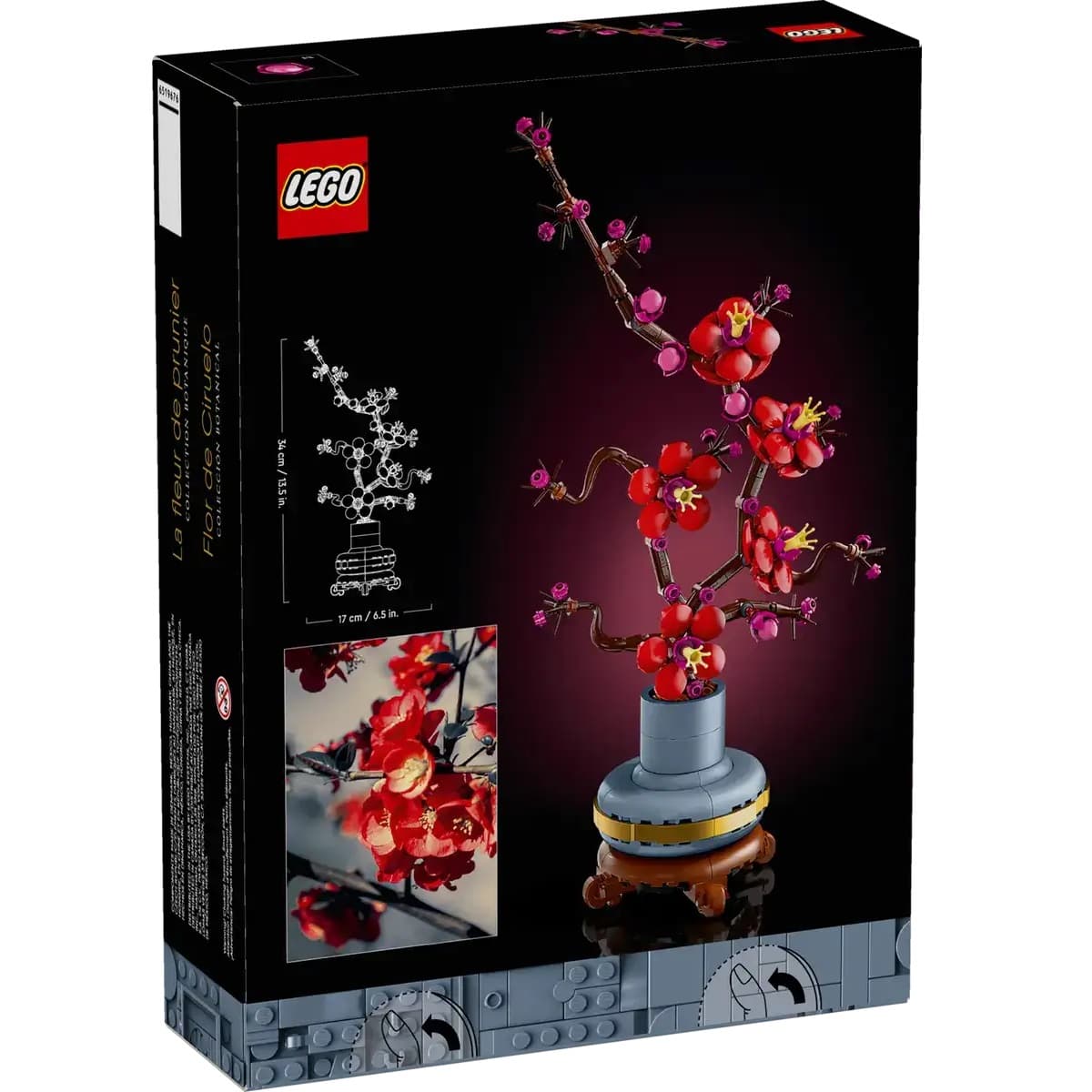 Plum Blossom