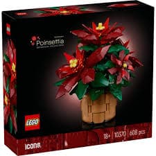 Poinsettia