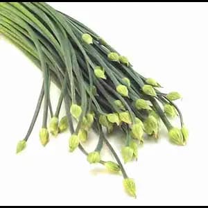 Chive Flower - Rithy 1 Supply