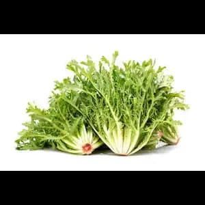 Lettuce Frisee - Rithy 1 Supply