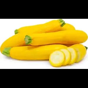 Zucchini Yellow - Rithy 1 Supply