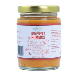 Red Pepper Hummus - Backyard Cafe