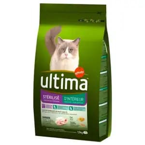 Sterilised Indoor - Ultima