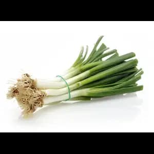 Leek