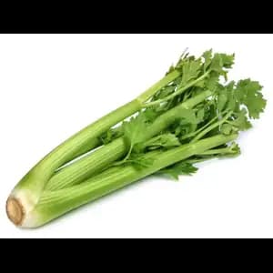 Celery