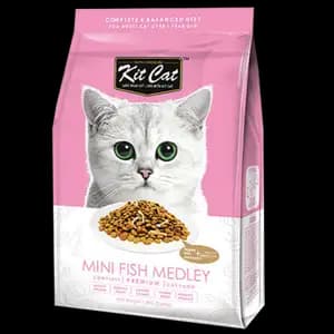 Mini Fish Medley - Kit Cat