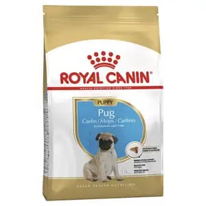 Puppy Pug Carlin/Mops/Carlino - Royal Canin