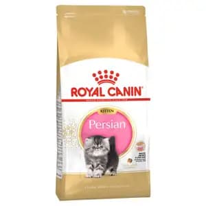 Kitten Persian - Royal Canin
