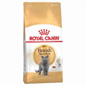Adult British Shortthair - Royal Canin