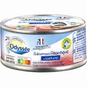 Salmon Atlantic Nature - Odyssée