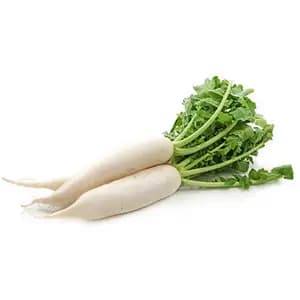 White Radish