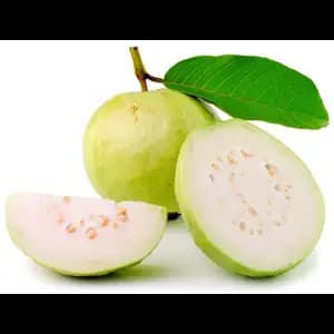 Guava