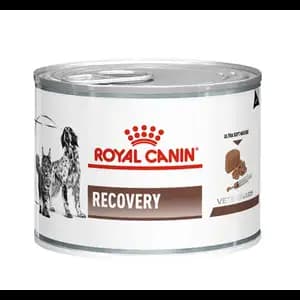Recovery - Royal Canin