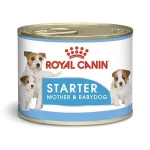 Starter - Royal Canin