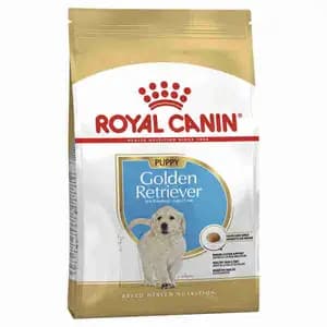 Golden Retriever Puppy - Royal Canin - Royal Canin