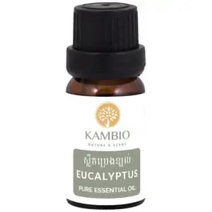 Eucalyptus Essential Oil - Kambio Nature