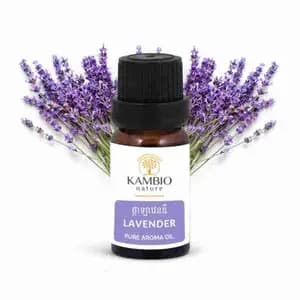 Asian Lavender Aroma Oil - Kambio Nature