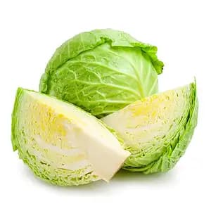 White Cabbage