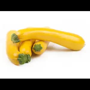 Yellow Zucchini