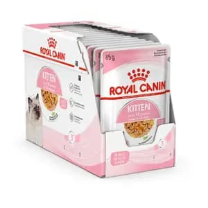 Kitten Up to 12month, Chunks in Jelly Pouch Box - Royal Canin
