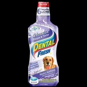 Dog Teeth Cleaning Dental Fresh Tartare - Pet Shop