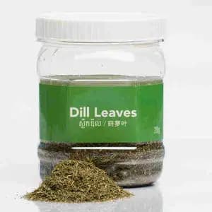 Dill Leaves - Kitchen's Gate