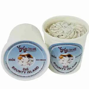 Bounty Island Ice Cream Pint - Lyly Cream