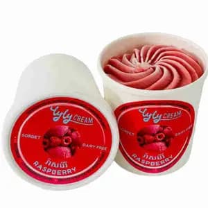Raspberry Sorbet Pint - Lyly Cream