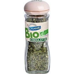 Organic Ciboulette / Chives