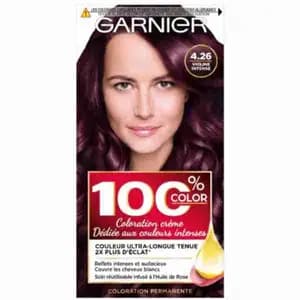 Permanent Hair Coloring 4.26 Le Violine Intense - Garnier