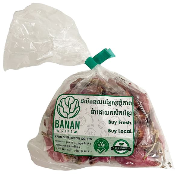 Shallot