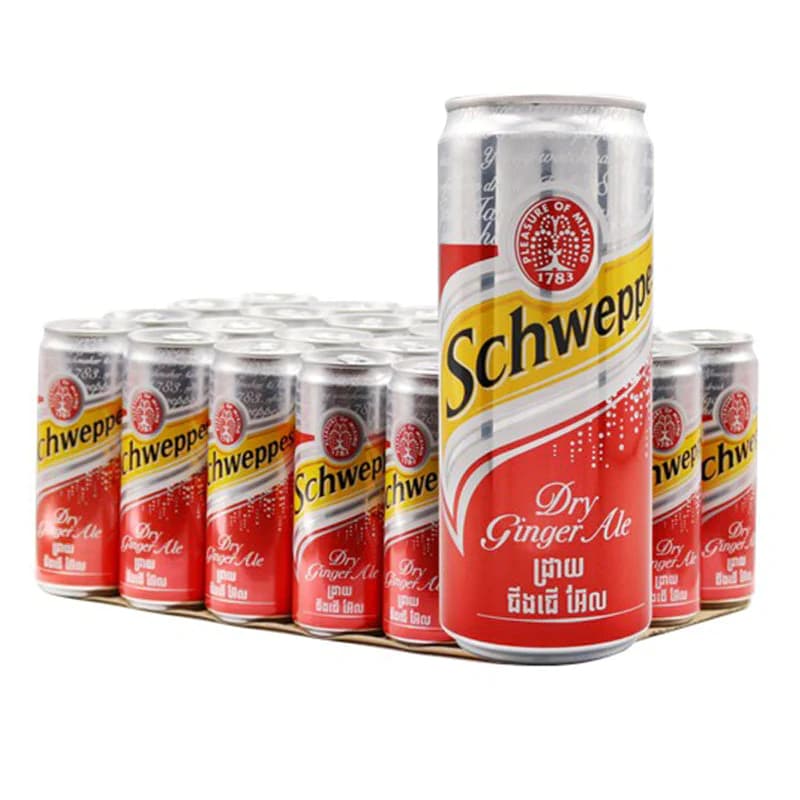 Schweppes Ginger Ale Can Pack X24