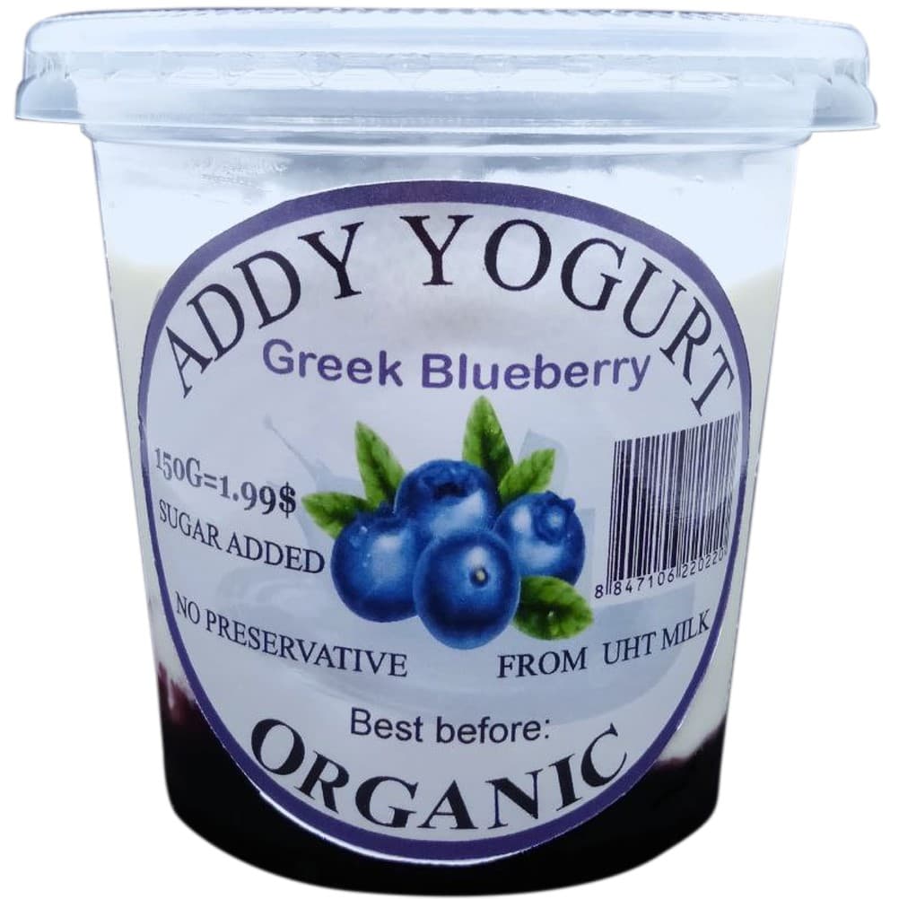 Greek Blueberry Yogurt
