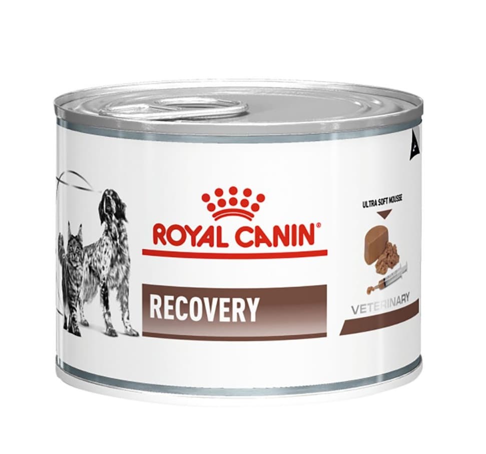 Recovery - Royal Canin
