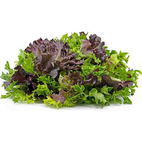Mix Lettuce - GAP