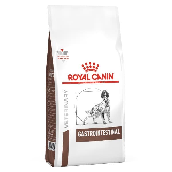 Gastrointestinal Dog