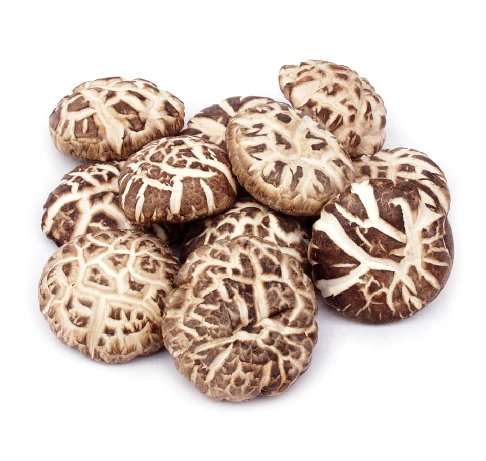 Dried Flower Mushrooms - Sea Quality
