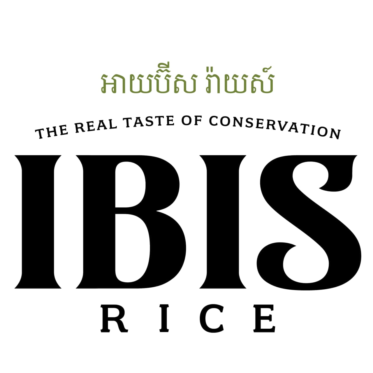 Ibis Rice