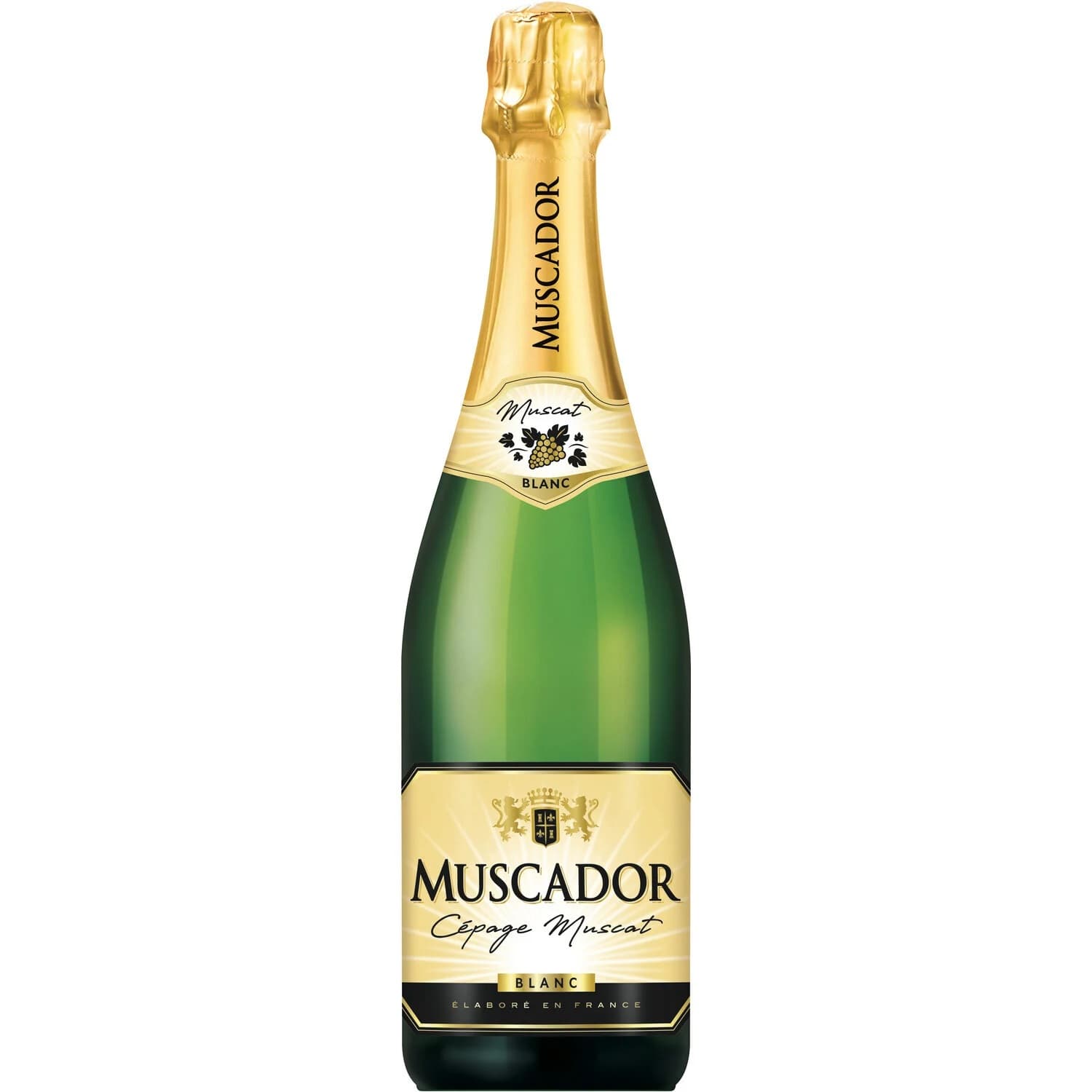 Muscador Cépage Muscat Blanc