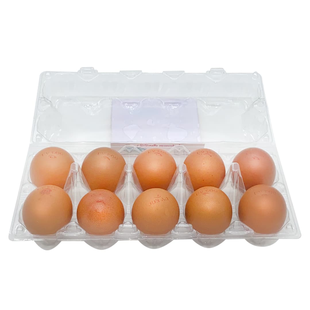 UV Eggs