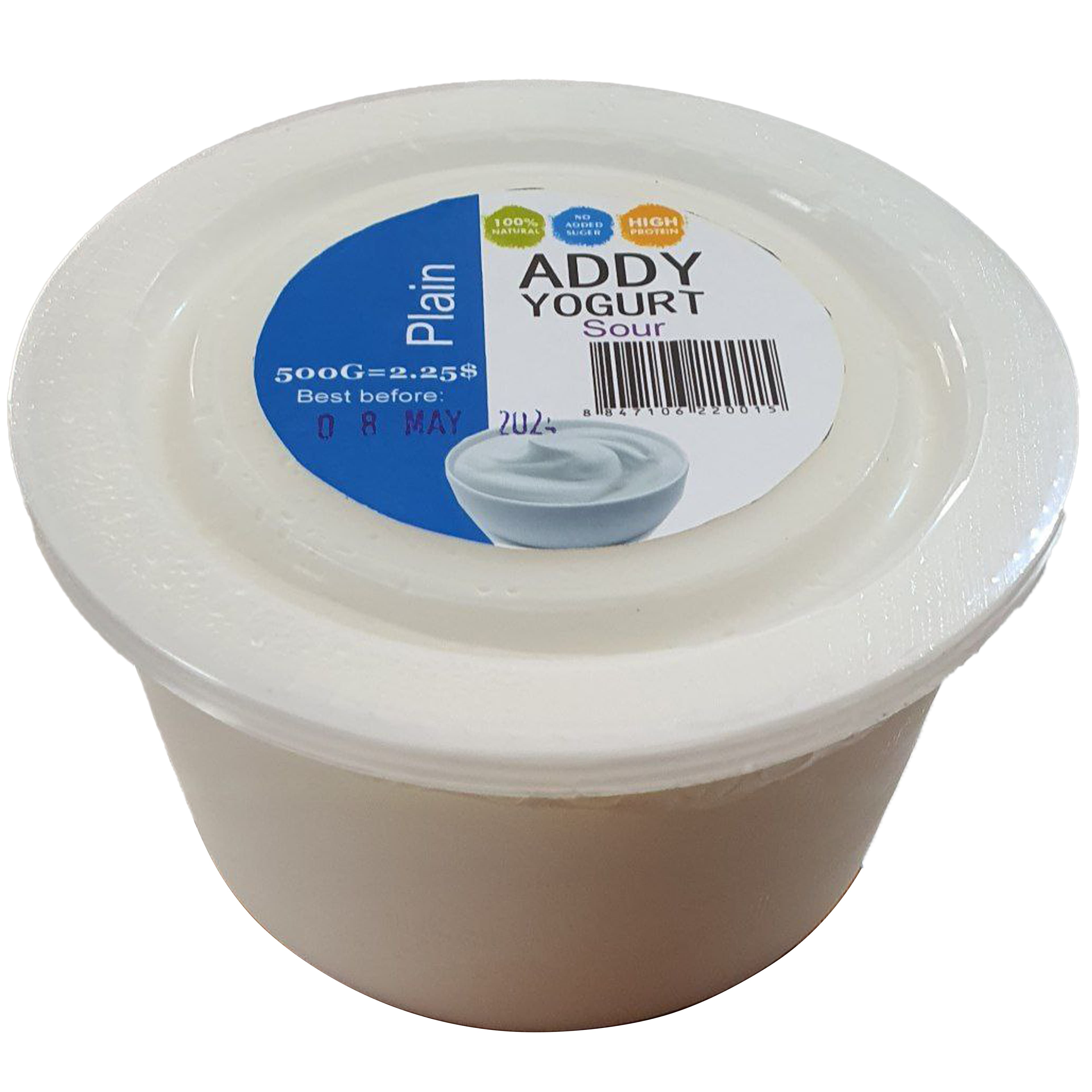 Plain Fresh Yogurt