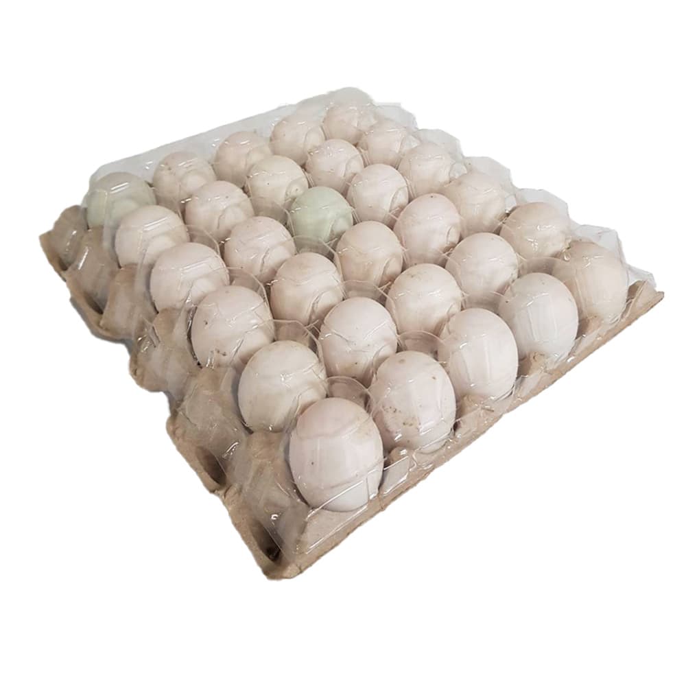 Fresh Duck Eggs with Paper Pulp Tray Size L