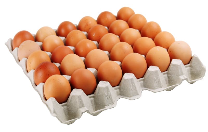 Fresh Eggs with Paper Pulp Tray Size L
