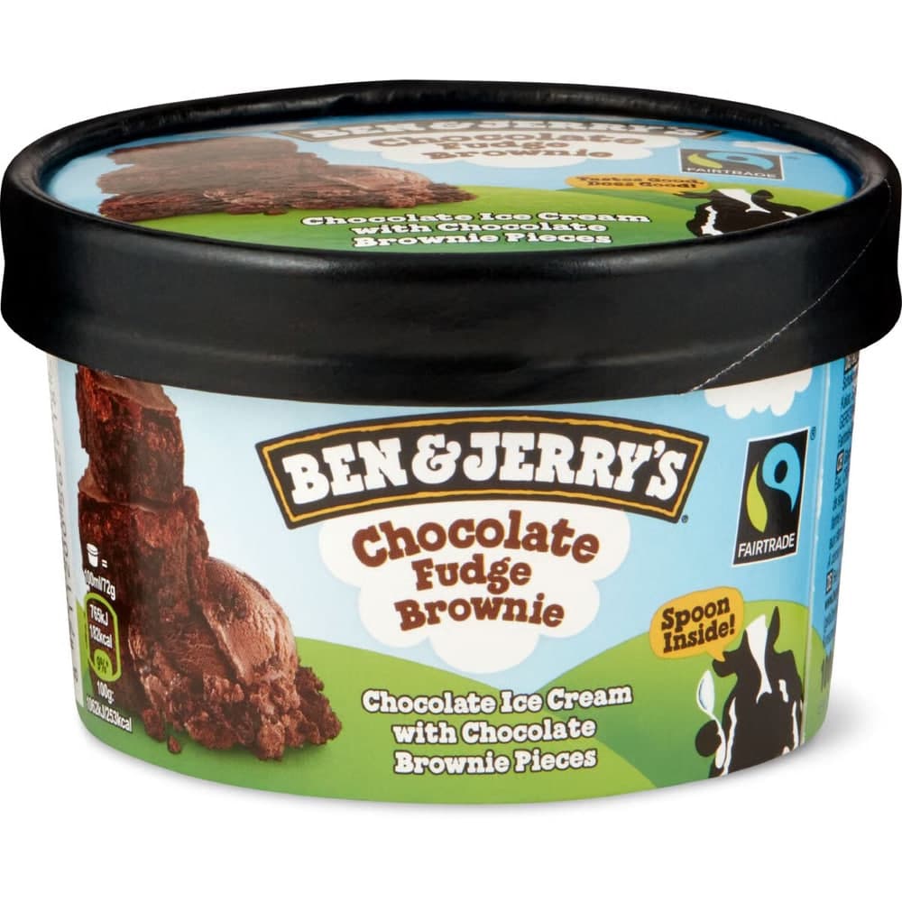 Chocolate Fudge Brownie - Ben & Jerry's