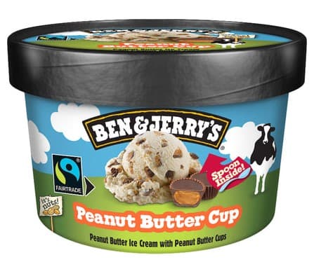 Peanut Butter Cup Ice Cream